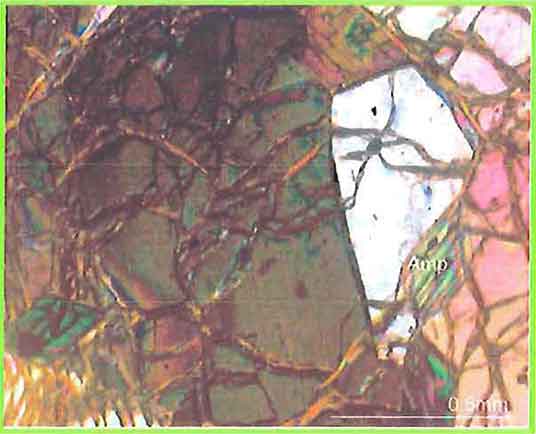 Olivine With Chrysotile Veinlets photomicrograph image