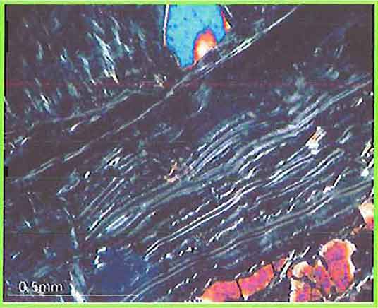 Chrysotile Veins In Peridotite photomicrograph image