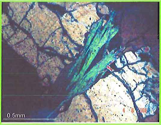 Mica Flake In Olivine Grain, In Peridotite photomicrograph image