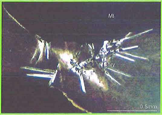 Antigorite Crystals In Chrysoprase Vein With Magnetite photomicrogaph image