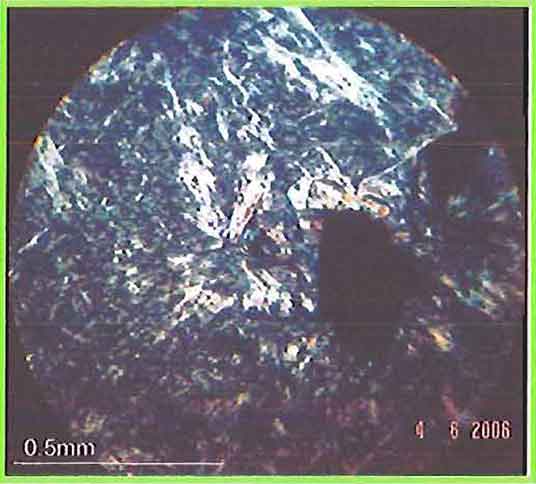 Radial Chalcedony And Magnetite Grain In Chrysoprase photomicrogaph image