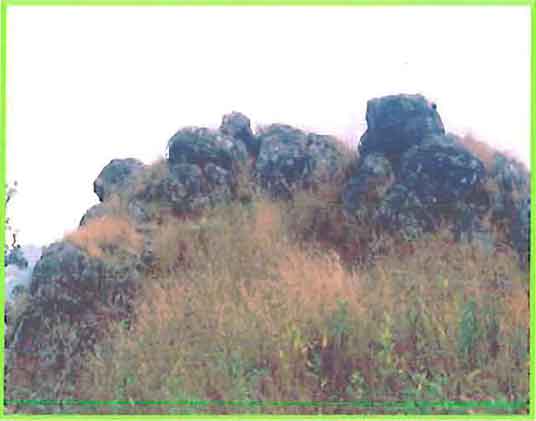 Augite-Biotite Granite photo image