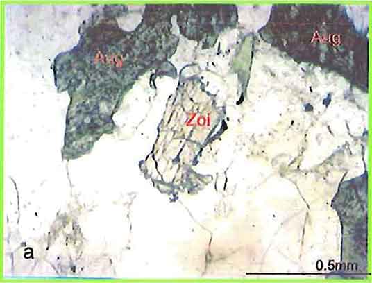 Subhedral Zoisite Crystal In Augite photomicrogaph image
