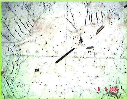 Painite Crystal In K-Feldspar photomicrograph image