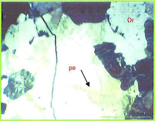 K-Feldspar With String Perthitic Texture photomicrogaph image