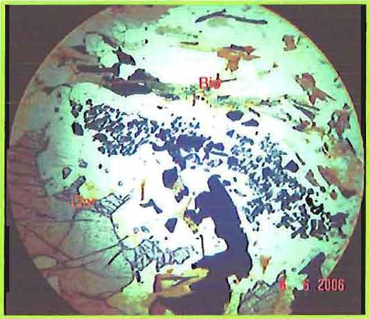 Anhedral Garnet Grain photomicrogaph image