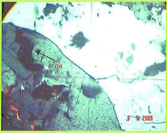 K-Feldspar Showing Grid Twinning With Patch Perthite photomicrograph image
