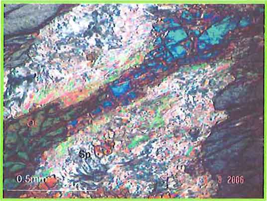 Olivine To Serpentine In Dunite photomicrograph image