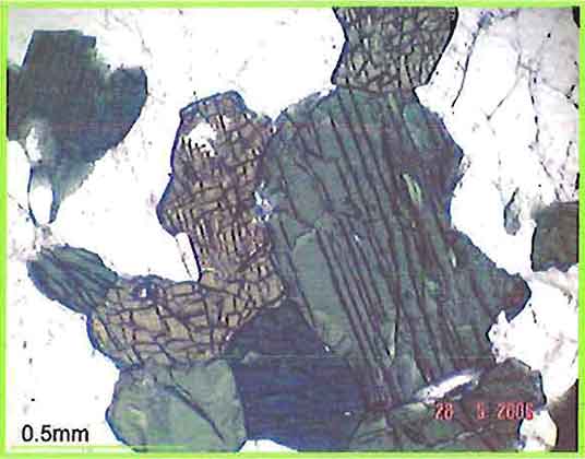 Hornblende, Pyroxene And Nepheline In Urtite photomicrograph image