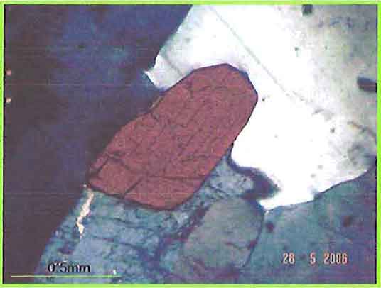 Euhedral Biotite Crystal photomicrogaph image
