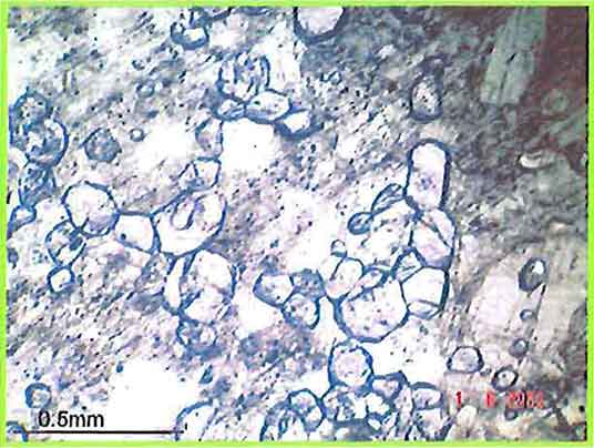 Small Corundum Grains In Ijolite photomicrogaph image