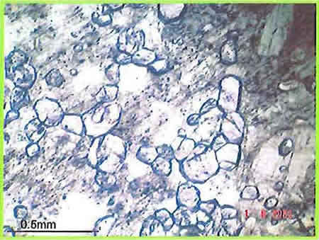 Corundum Grains In Ijolite photomicrograph image