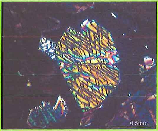 Basal Section Of Hornblende In Jacupriangite photomicrograph image