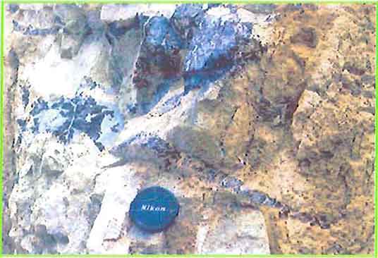 Magnetite Veins In Peridotite photo image