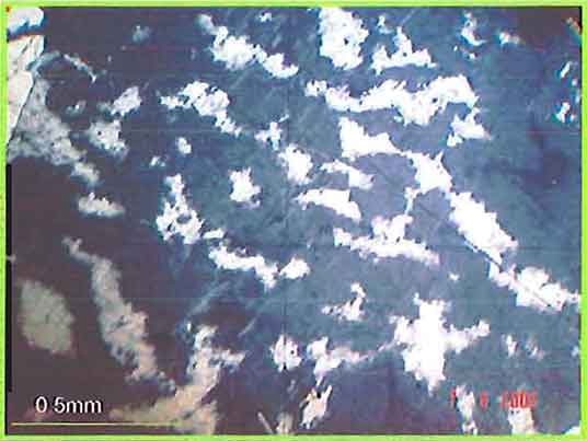 K-Feldspar With Perthite photomicrogaph image