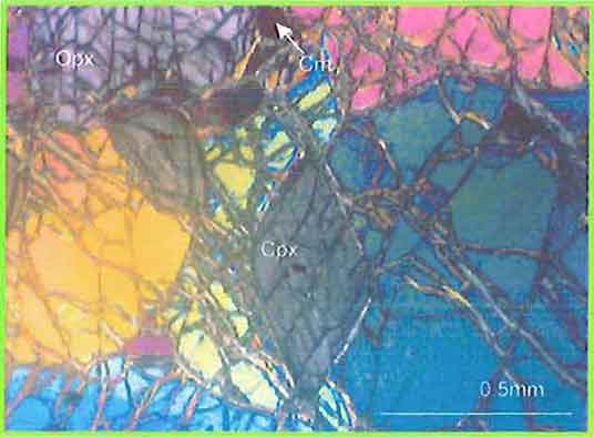 Olivine With Chrysotile Veins photomicrogaph image