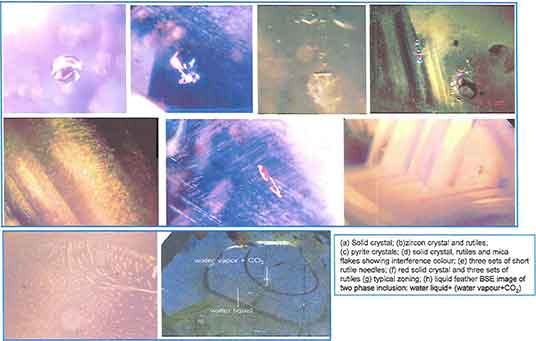 Inclusions photomicrograph image