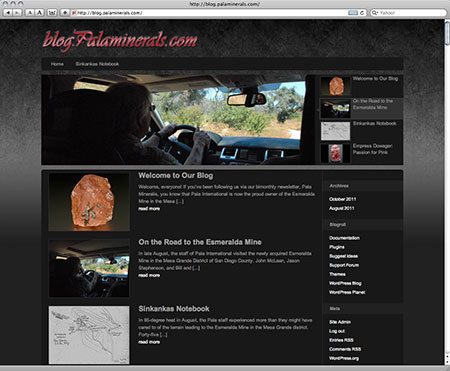 Blog screenshot image