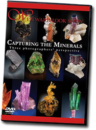 Capturing The Minerals cover image