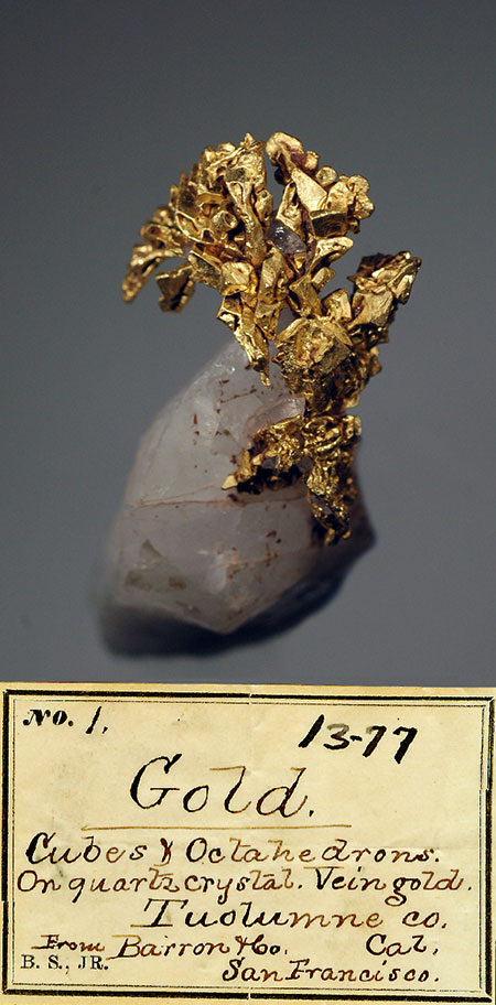Gold Specimen and Label photo images