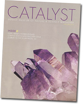 Catalyst cover image