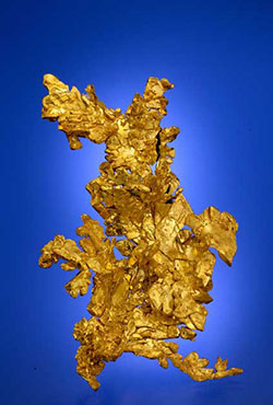 Gold Specimen photo image