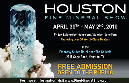 Houston FMS poster image