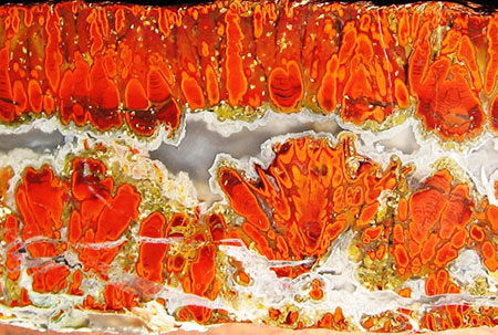 Plume Agate photo image