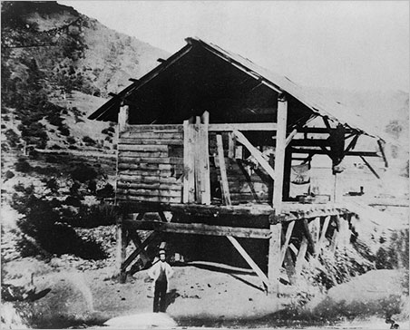 Sawmill photo image