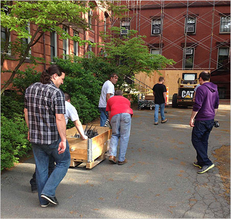 Specimen in Transit photo image