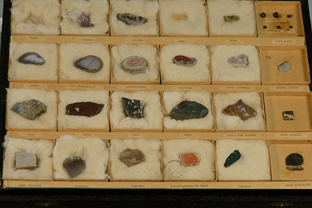 Specimens photo image