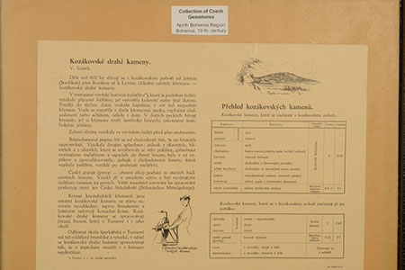 Specimens photo image