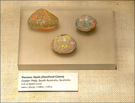 Opals photo image