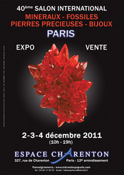 Paris Show poster image