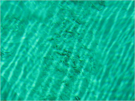 Kitch-iti-kipi Sand photo image