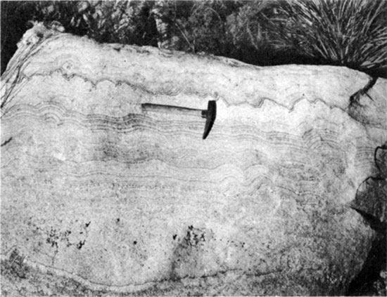 Granitoid Rocks photo image
