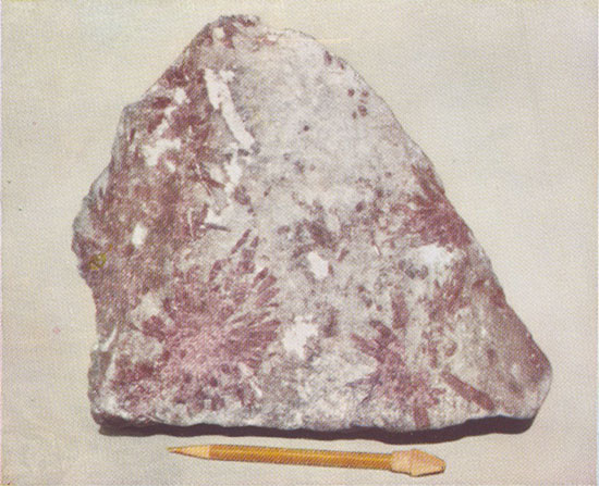 Lepidolite Specimen photo image