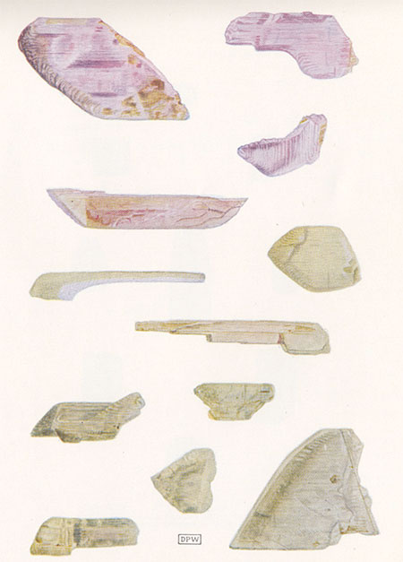 Spodumene Crystals illustration image