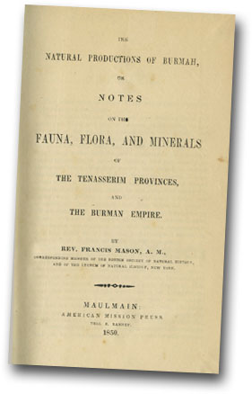Cover page image